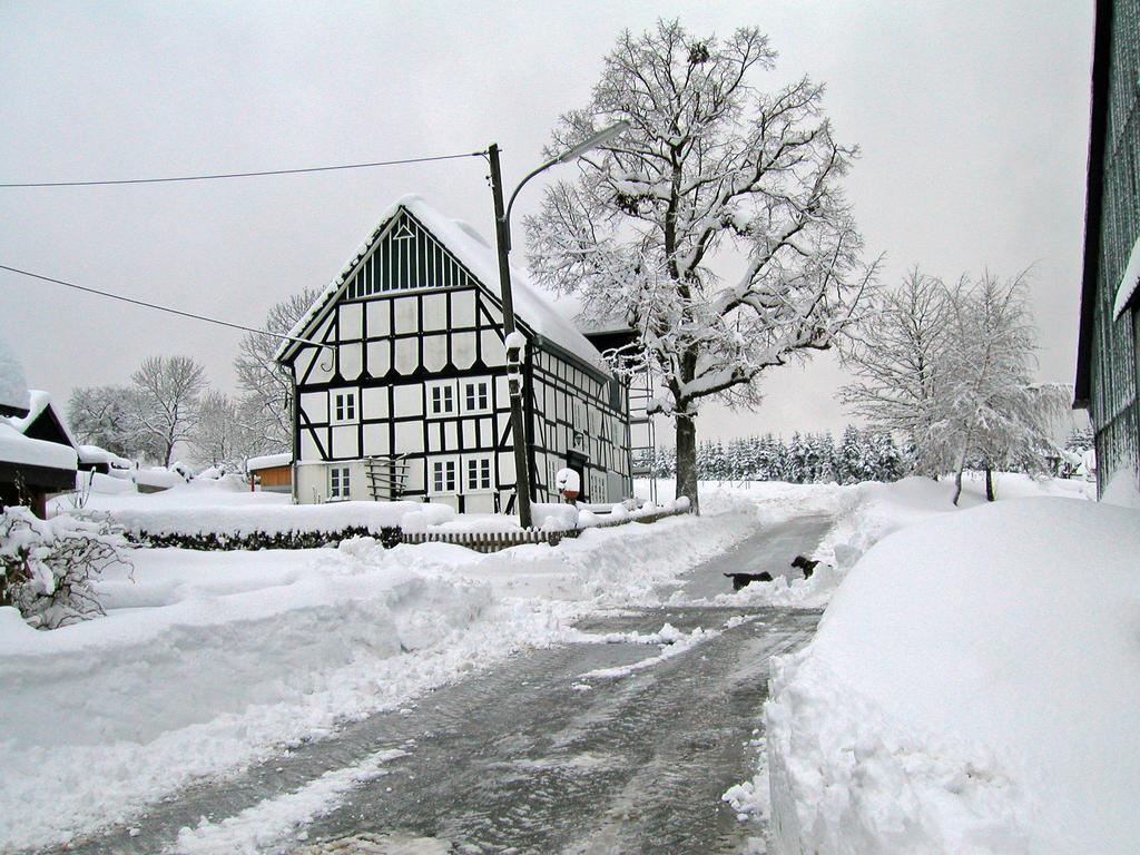 Ortmanns Eulennest Villa Finnentrop Exterior photo